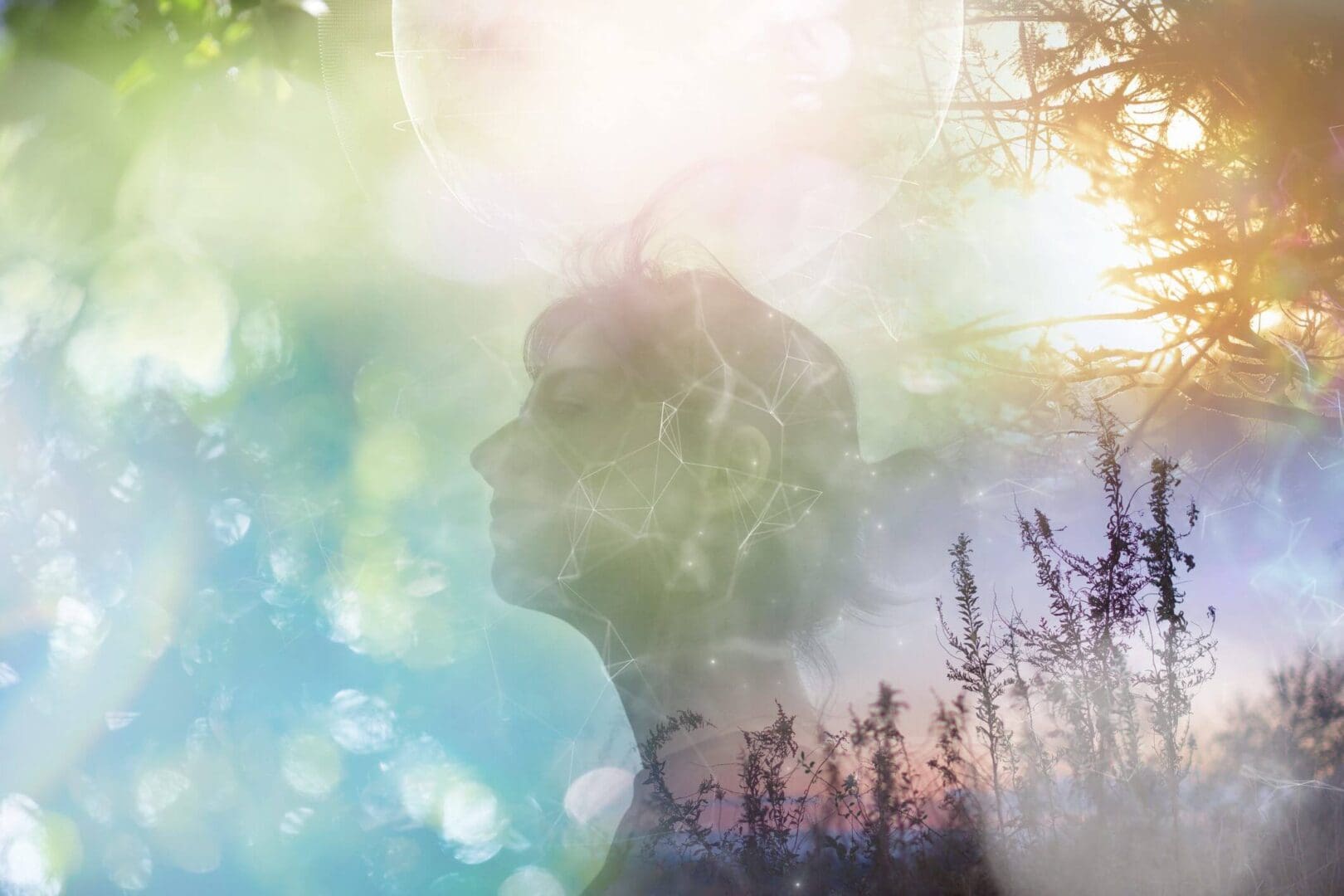 Ethereal silhouette of a person blending with nature and light.